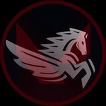 PEGASUS ACCOUNTS