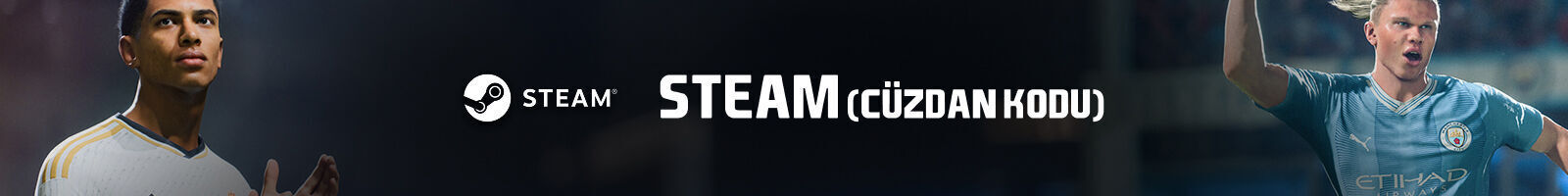 EA Sports FC 24 Steam (FIFA 24)