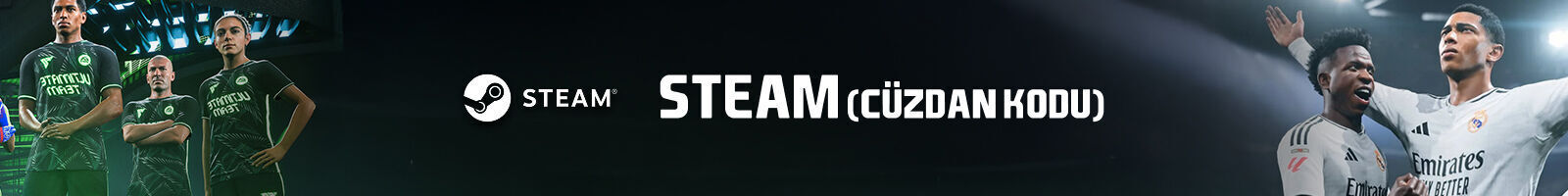 EA Sports FC 25 Steam (FIFA 25)
