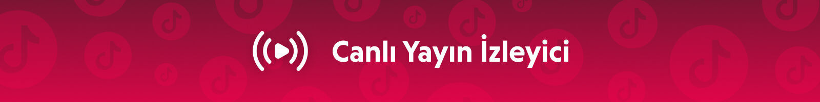 TikTok Canlı Yayın İzleyici