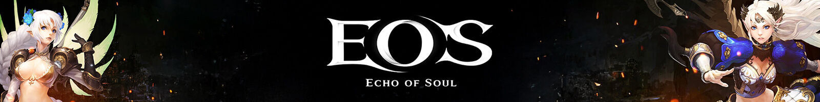 Echo Of Soul Phoenix