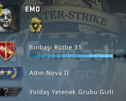 2 Madalya+120TL Steam Oyun+20TL Envanter