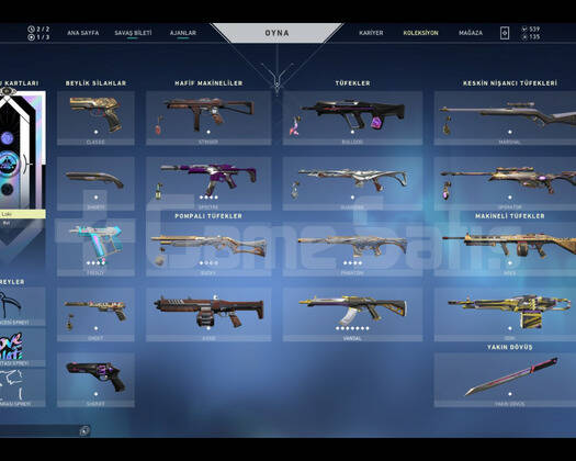 ASİL VANDAL+4 ADET BATTLEPASS