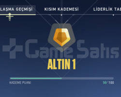600VP Lİ ALTIN RANKLI HESAP