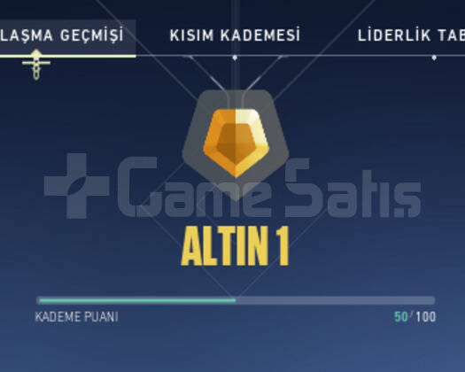 600VP Lİ ALTIN RANKLI HESAP