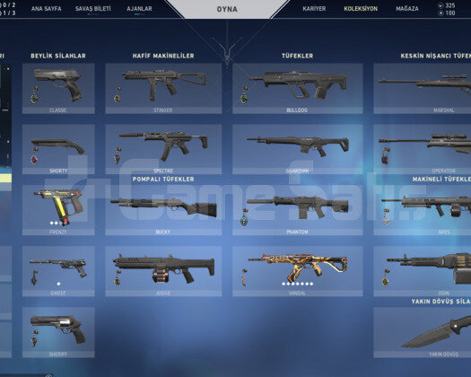 Delipop vandallı diamond 1 hesap
