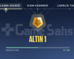 ALTIN RANKLI HESAP