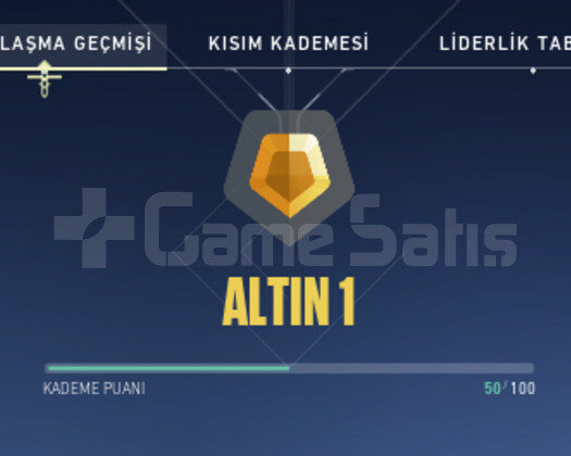 ALTIN RANKLI HESAP