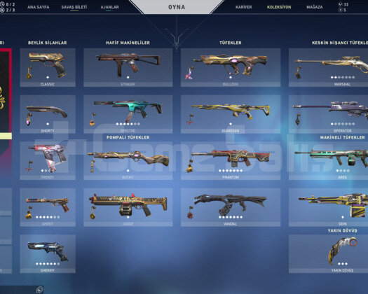 PLAT 1 BOL SKİNLİ HESAP