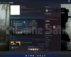STEAM HESAP