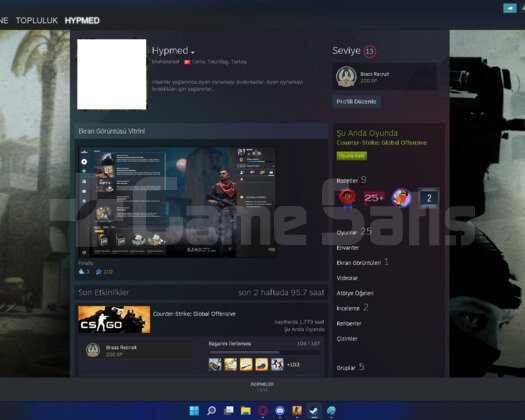 STEAM HESAP