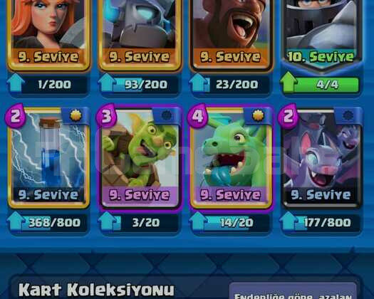 12. Arena 12 Level Mega 9 Level