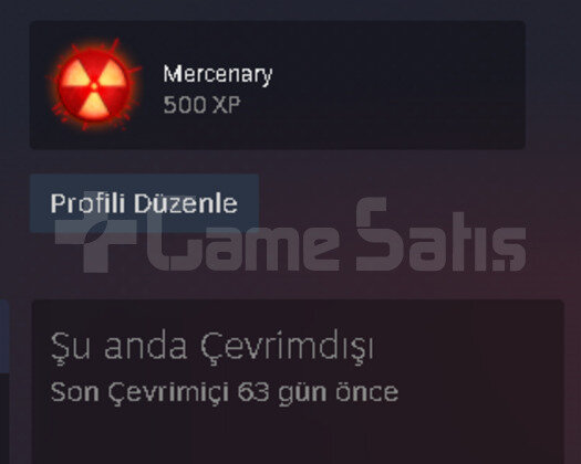 28 LVL 27 OYUNLU 4 YILLIK HESAP