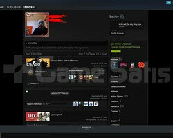 50LVL CSGOFULL HESAP