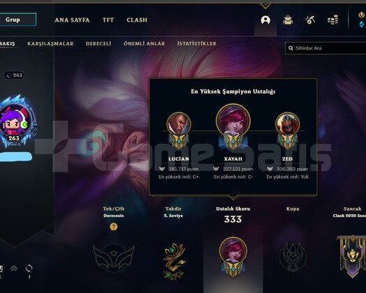 263 LEVEL ADC HARİKA HESAP