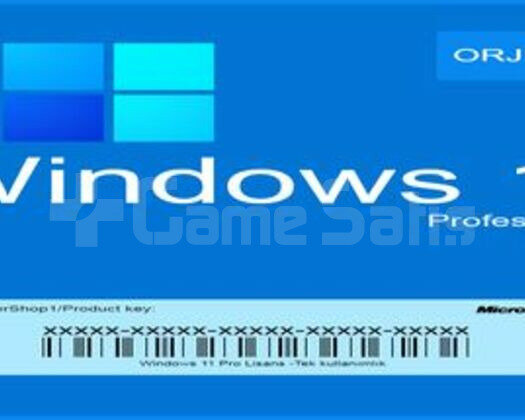 Windows 11 ORJİNAL LİSANS