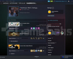 VAC Banlı Bol Oyunlu Steam Hesabı