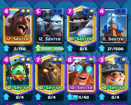 5000 Kupalı 11 Level 5 Senelik Mükemmel Hesap