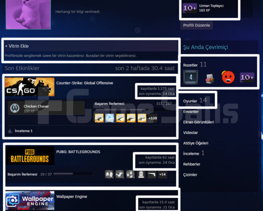 1175 SAAT l 4 MADALYA l 14 LVL STEAM l FACEİT