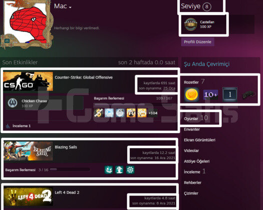 691 SAAT l 2 MADALYA l TÜRK HESABI l 8 LVL STEAM