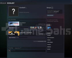 Forza Horizon 4 / Steam / Bilgileri Degişir