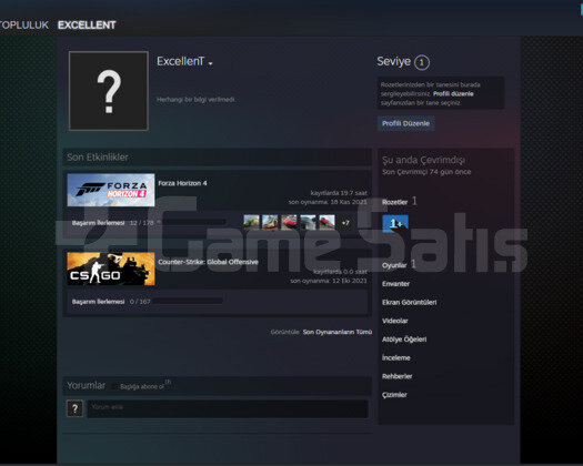 Forza Horizon 4 / Steam / Bilgileri Degişir