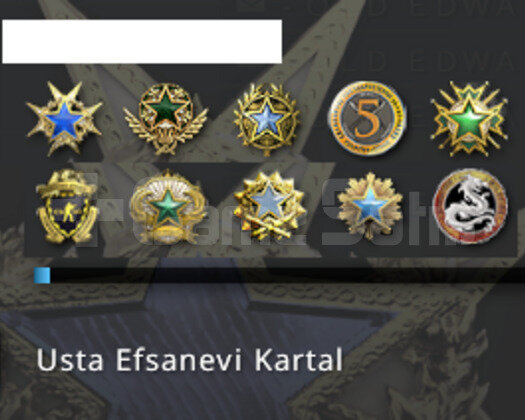 GARANTİLİ İLK MAİLLİ 14 MADALYALI CSGO HESABI