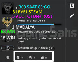309 SAAT l RUST l 1 MADALYA l ARKADAŞ EKLE