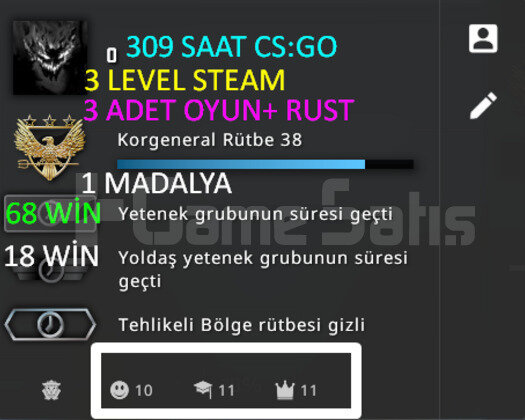 309 SAAT l RUST l 1 MADALYA l ARKADAŞ EKLE