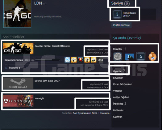 2987 SAAT l 4 MADALYA l 5 LVL STEAM l 3 OYUNLU