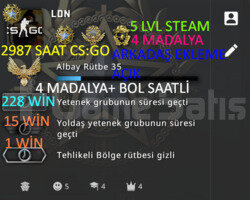 2987 SAAT l 4 MADALYA l 5 LVL STEAM l 3 OYUNLU