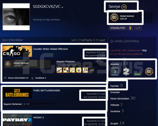 305 SAAT l 33 LVL STEAM l 9 ADET OYUN l 25 TL ENV