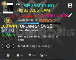 305 SAAT l 33 LVL STEAM l 9 ADET OYUN l 25 TL ENV