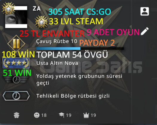 305 SAAT l 33 LVL STEAM l 9 ADET OYUN l 25 TL ENV