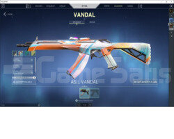 Asil Vandal