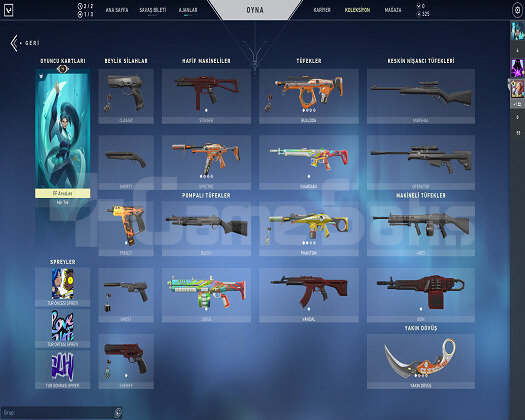Asil Karambit + Battle Pass
