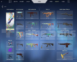 Asil Balta - Battle Pass - 350 VP