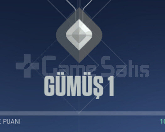 gümüş 1 yağmacı vandallı yüksek mmr