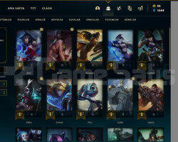 Euw Gold 4 ve 9484 turuncu öz