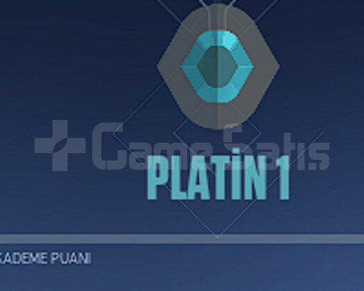BPli Plat Hesap