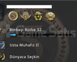 kuruluş mailli 5 madalyalı csgo hesabı