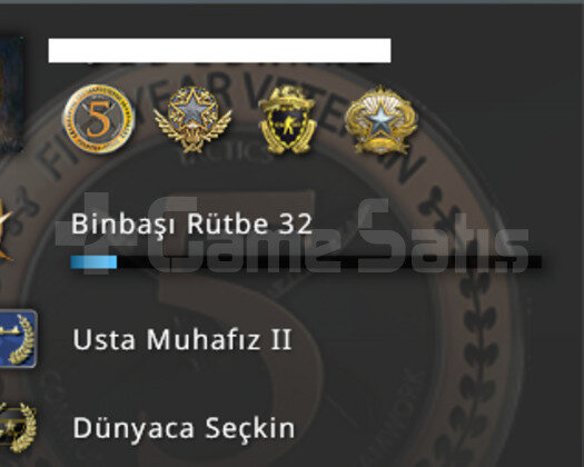 kuruluş mailli 5 madalyalı csgo hesabı