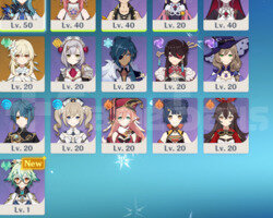 Rank 26 I Eula + Yae miko