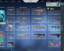 SKINLI SILVER VP VE RP Lİ HESAP
