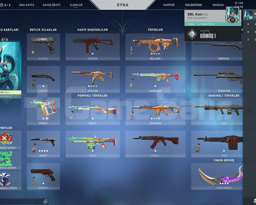SKINLI SILVER VP VE RP Lİ HESAP