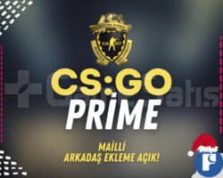CSGO Prime | Arkadaş Ekleme Açık & MAİLLİ