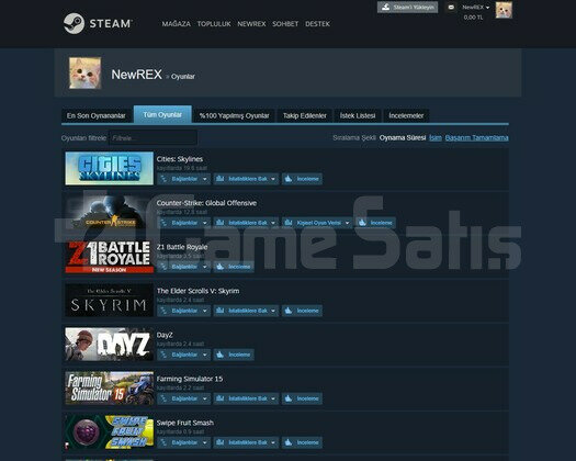 DayZ FS15 Skyrim Cities skylines 15 TL envanter