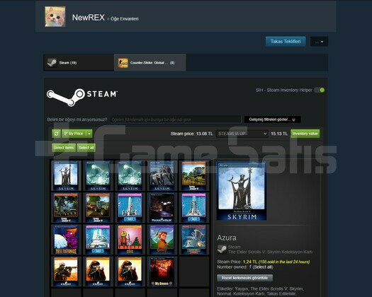 DayZ FS15 Skyrim Cities skylines 15 TL envanter