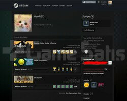 DayZ FS15 Skyrim Cities skylines 15 TL envanter