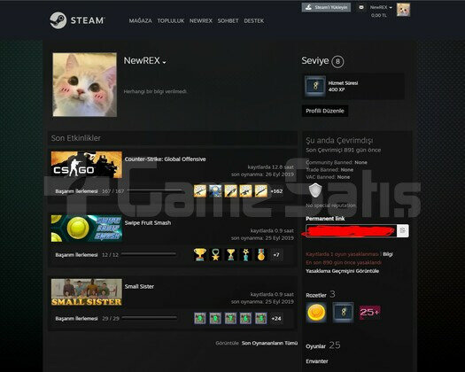 DayZ FS15 Skyrim Cities skylines 15 TL envanter